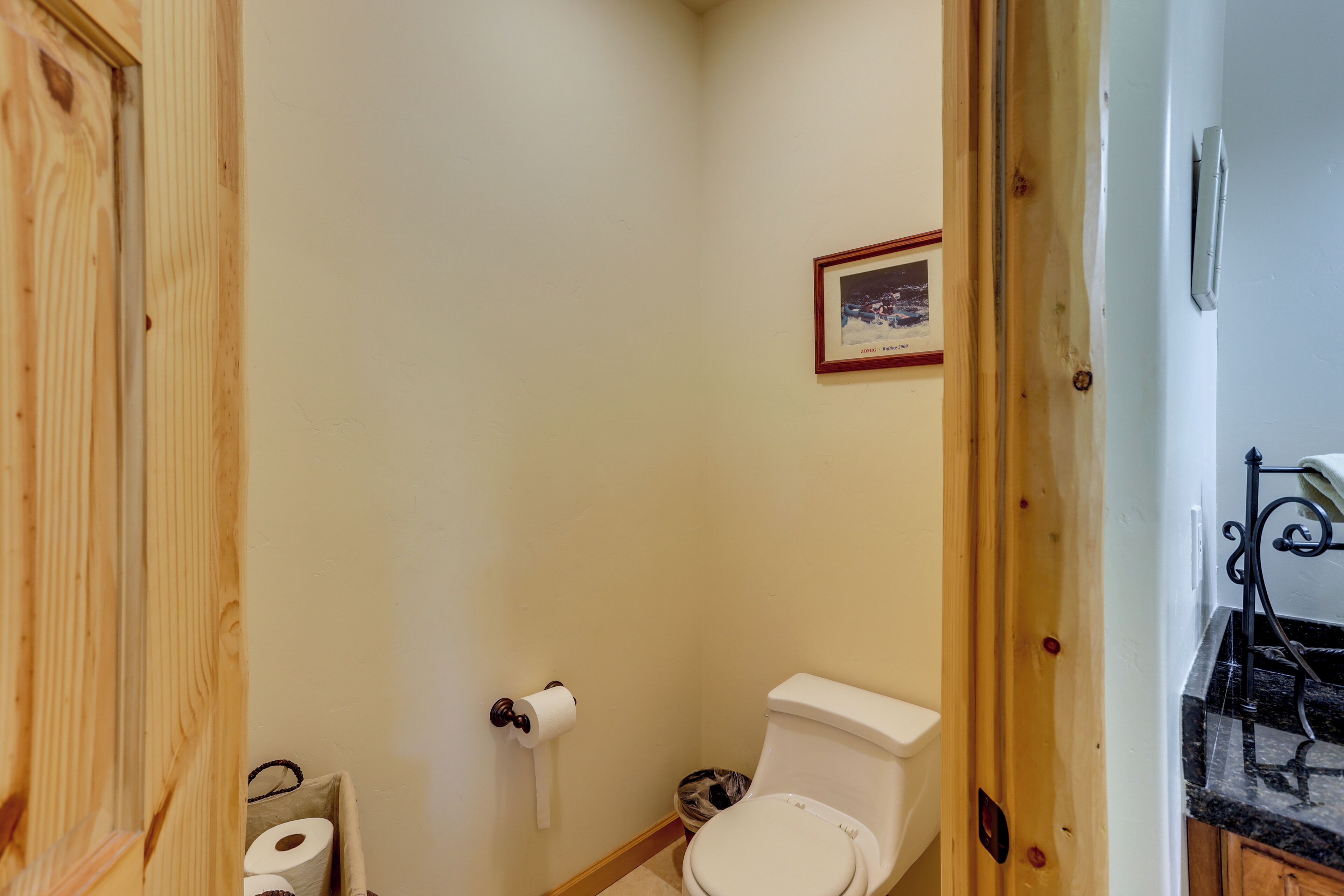 A bathroom with a toilet, a roll of toilet paper, and a framed picture on the wall.