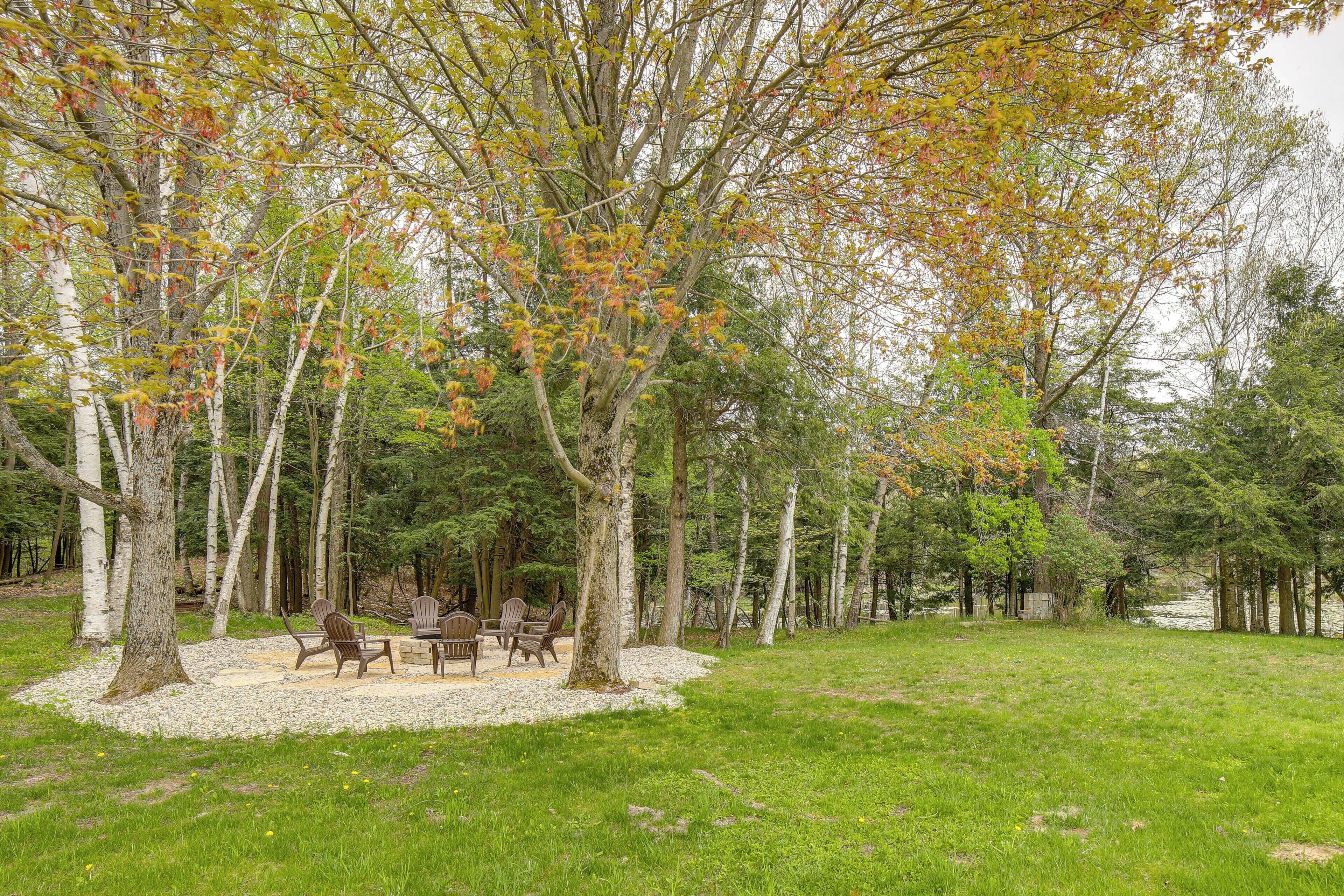 A serene outdoor seating area with a fire pit, surrounded by birch trees and a grassy field.