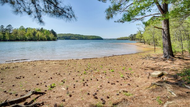 A beach with pine cones, a sandy shore, and a calm lake surrounded by trees. - Walk to Lake Chatuge! Hayesville Cabin w/ Fire Pit (Hayesville)