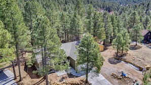 Un quartier résidentiel avec une maison entourée d’une forêt dense, un petit abri de jardin et une allée pavée.