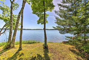 A lakeside view with birch trees and a clear sky.