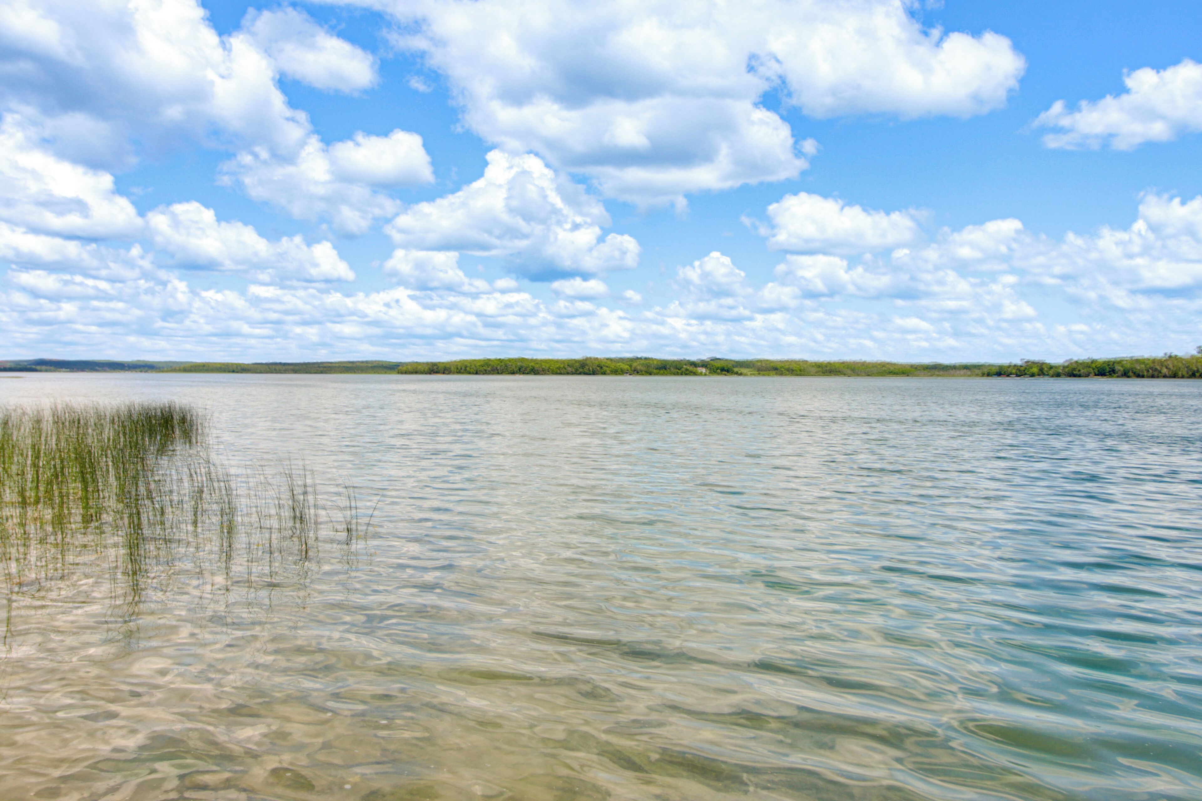 En rolig sø med klart vand, en græskræ langsiden og en fjerntliggende skovkant under en let overskyet himmel.