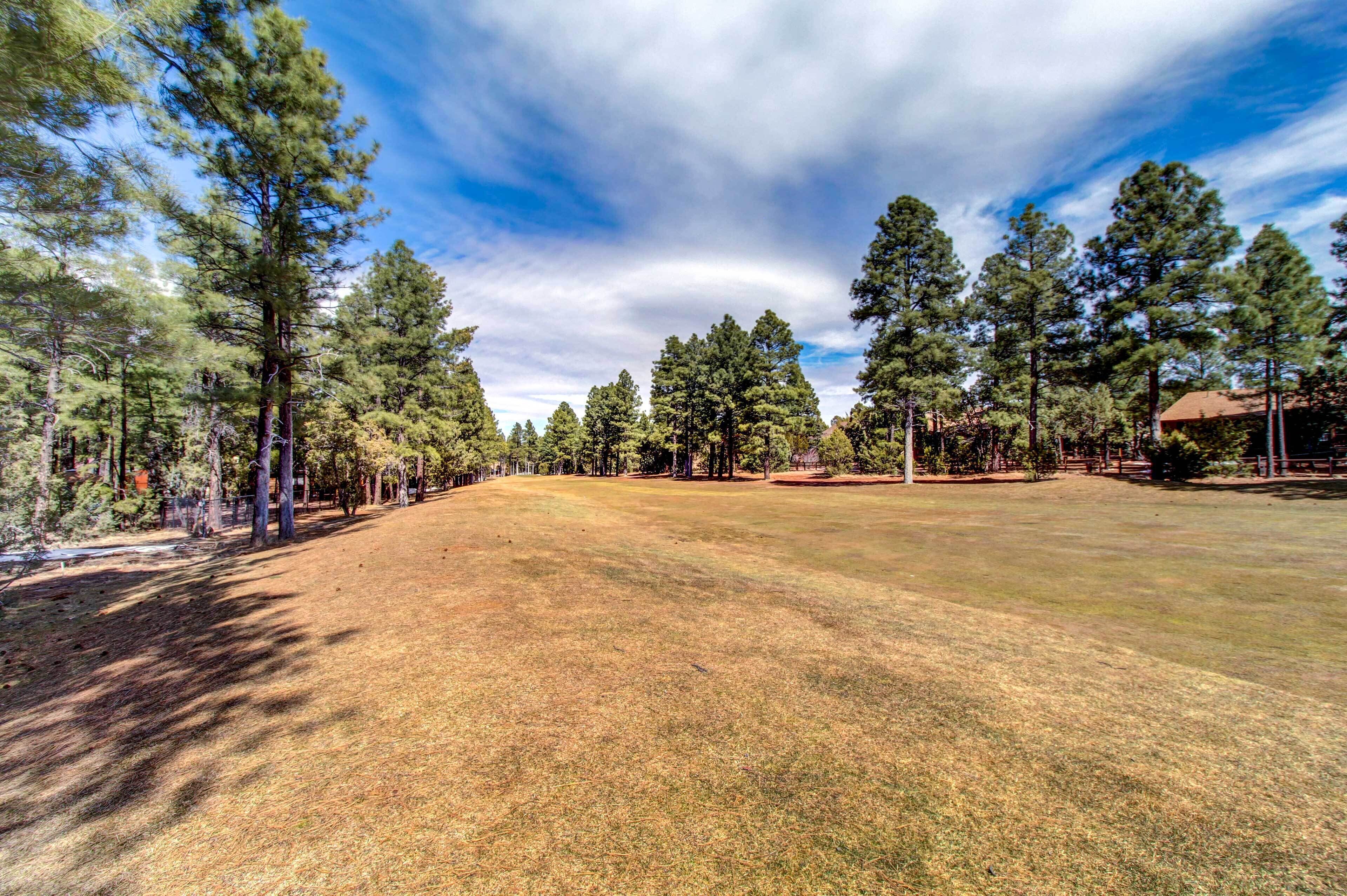 A wide, open grassy area surrounded by tall pine trees under a partly cloudy sky.