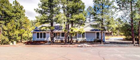 A two-story house with a porch, surrounded by tall pine trees.
