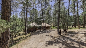 A cabin surrounded by tall pine trees, with a gravel driveway leading to it. - Well-appointed Alto Cabin w/ Fire Pit & Pool Table (Alto)