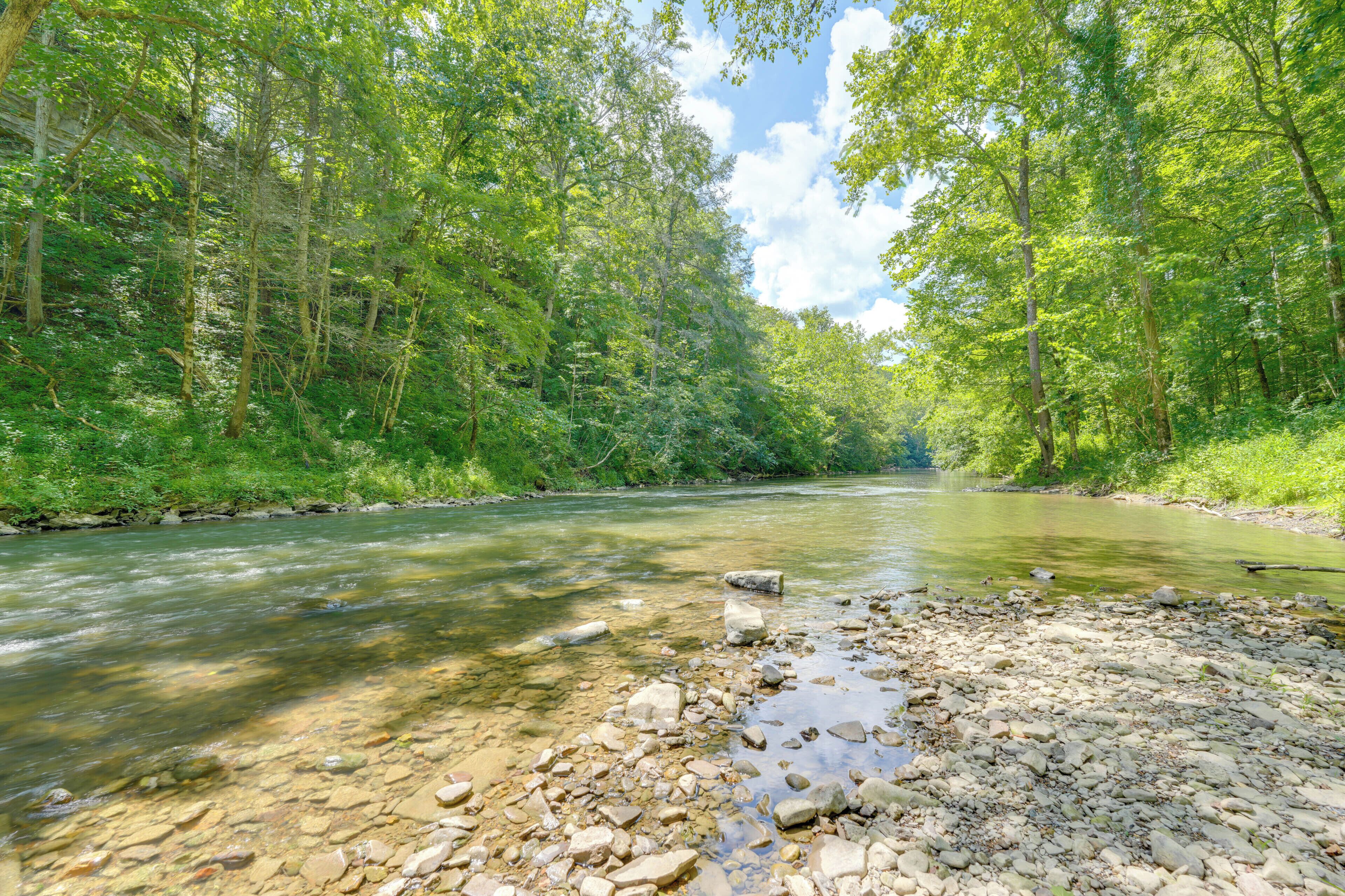 A river flowing through a forested area with clear water and a rocky riverbank.