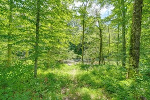 Interior - Modern Appalachian Vacation Rental w/ River Access (Pennington Gap)