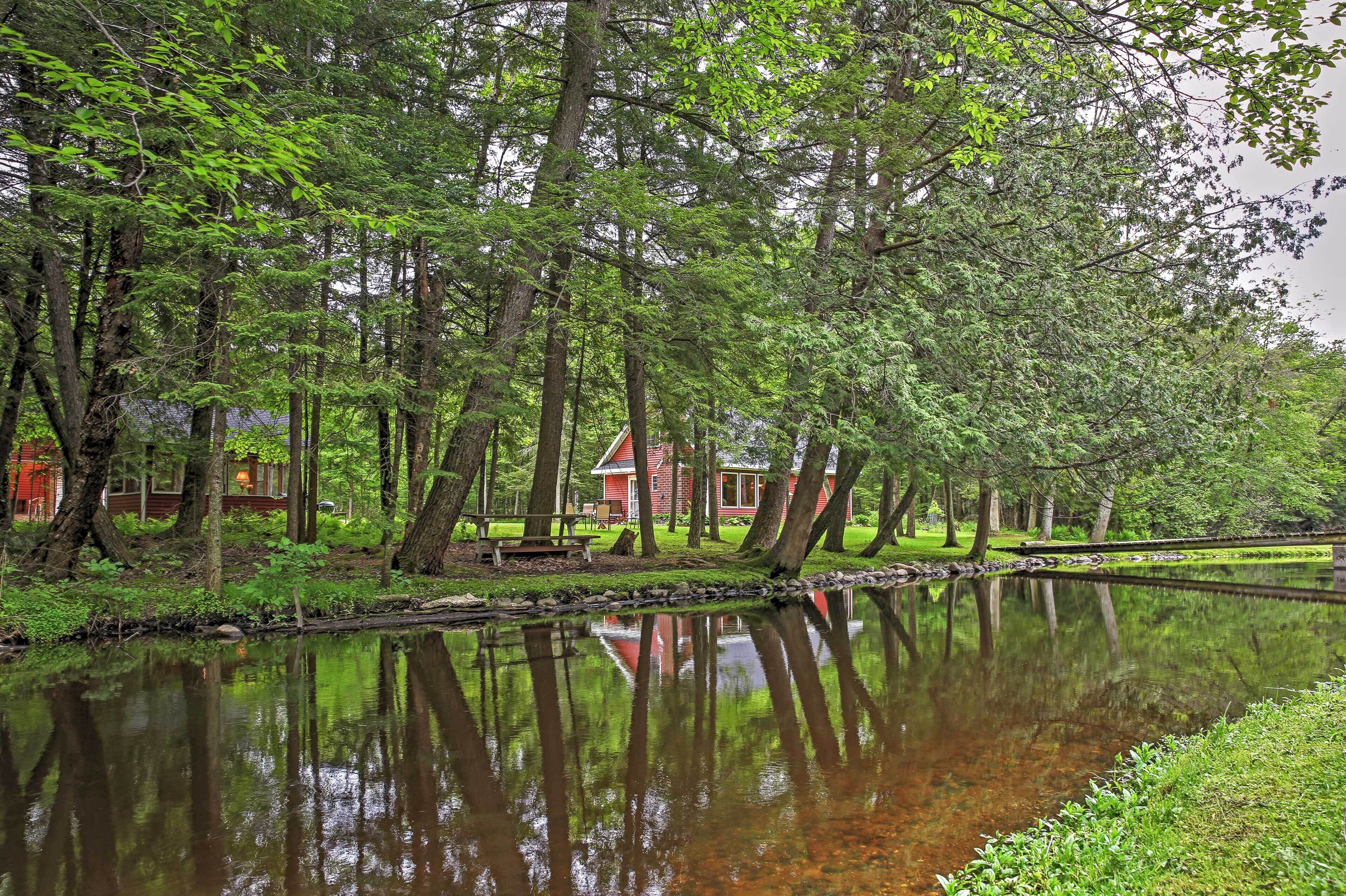 Un entorno tranquilo junto al lago, con un edificio rojo rodeado de exuberante vegetación y altos árboles.