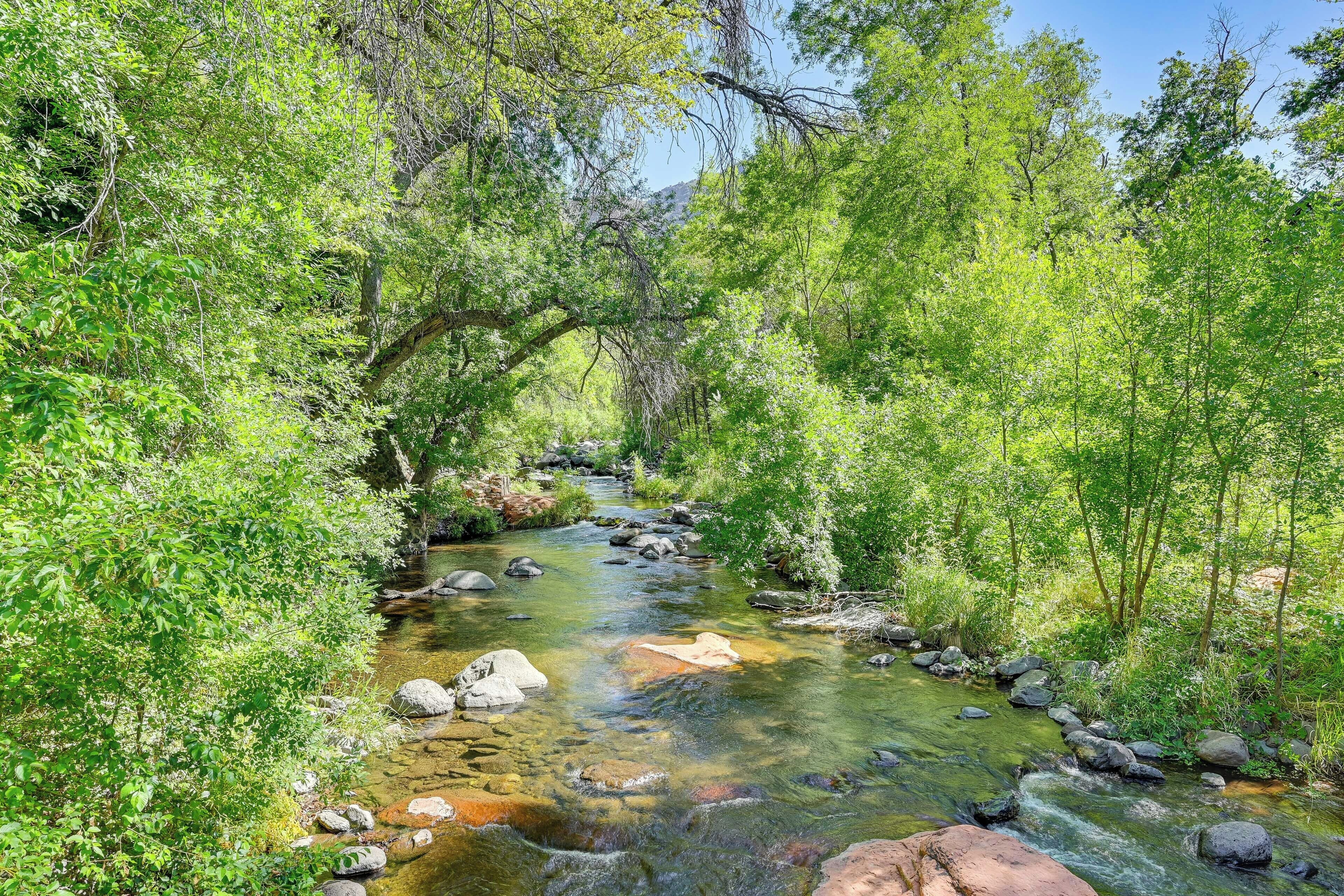 A clear stream with rocks and lush greenery.