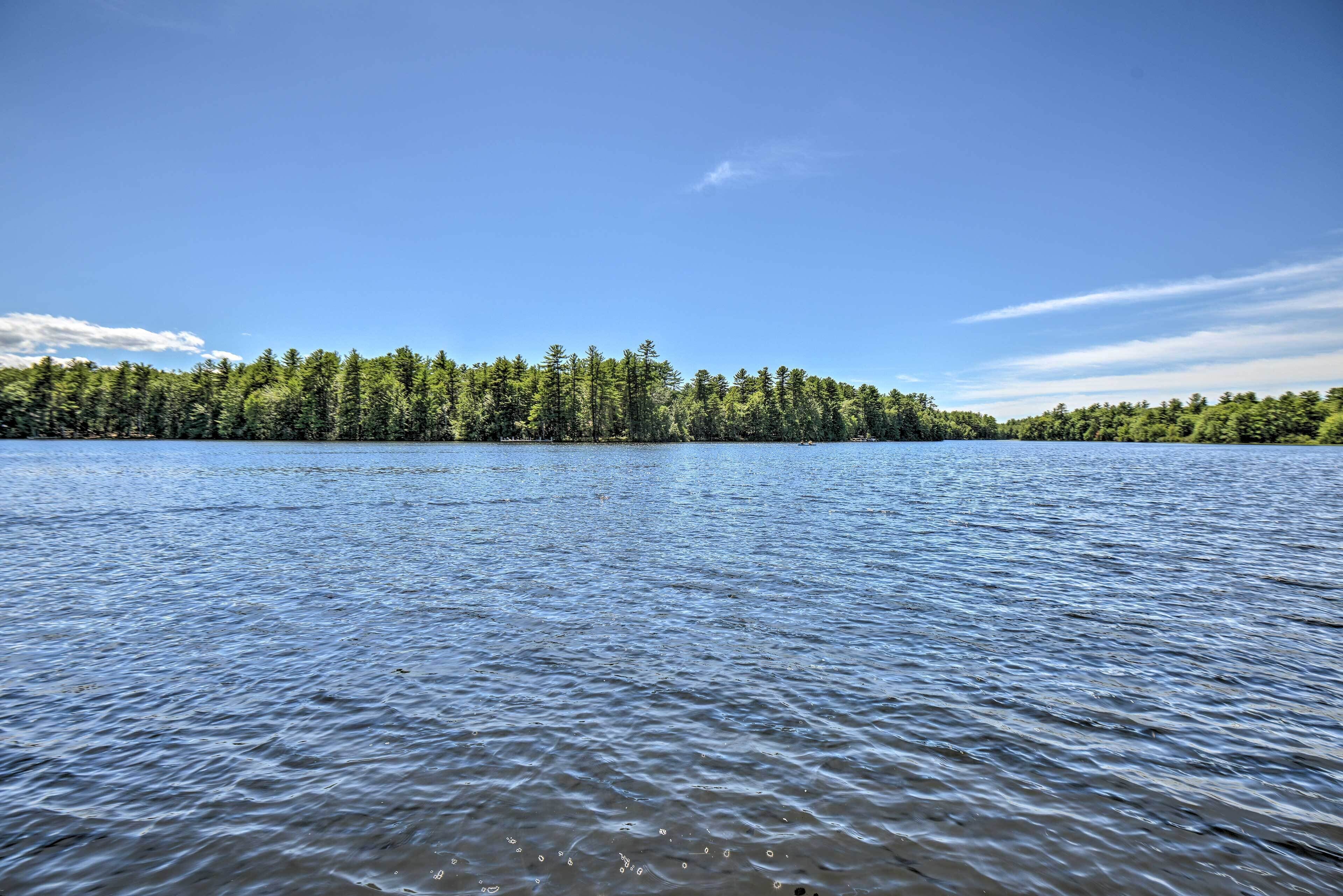 A calm lake with a dense forest on the opposite shore.