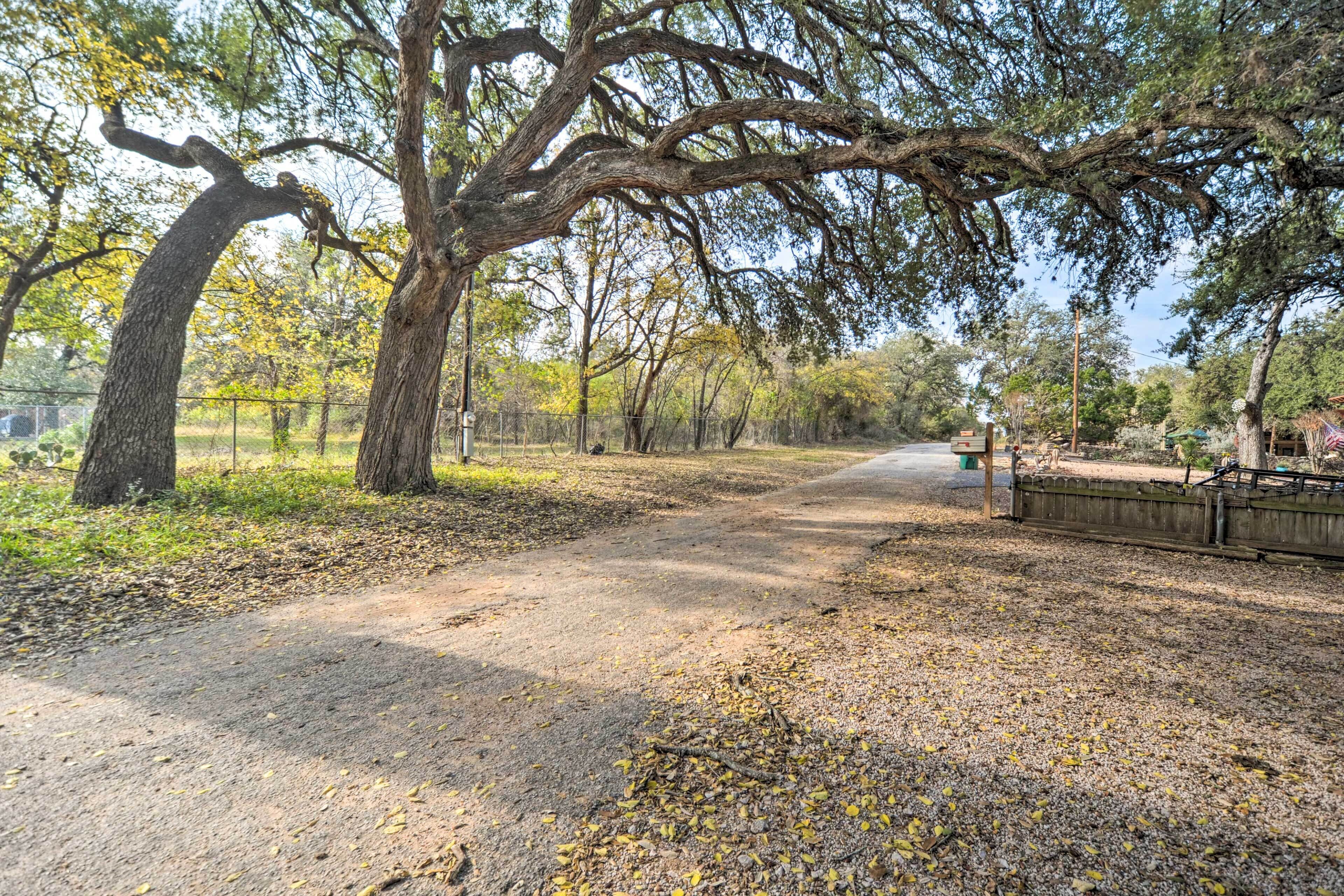 A dirt path flanked by large trees with yellow leaves, leading to a fenced area with a bench and a trash bin.