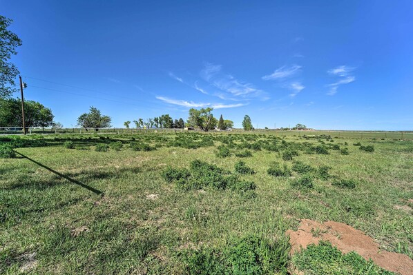 Un campo cubierto de césped con arbustos y árboles dispersos bajo un cielo azul despejado.