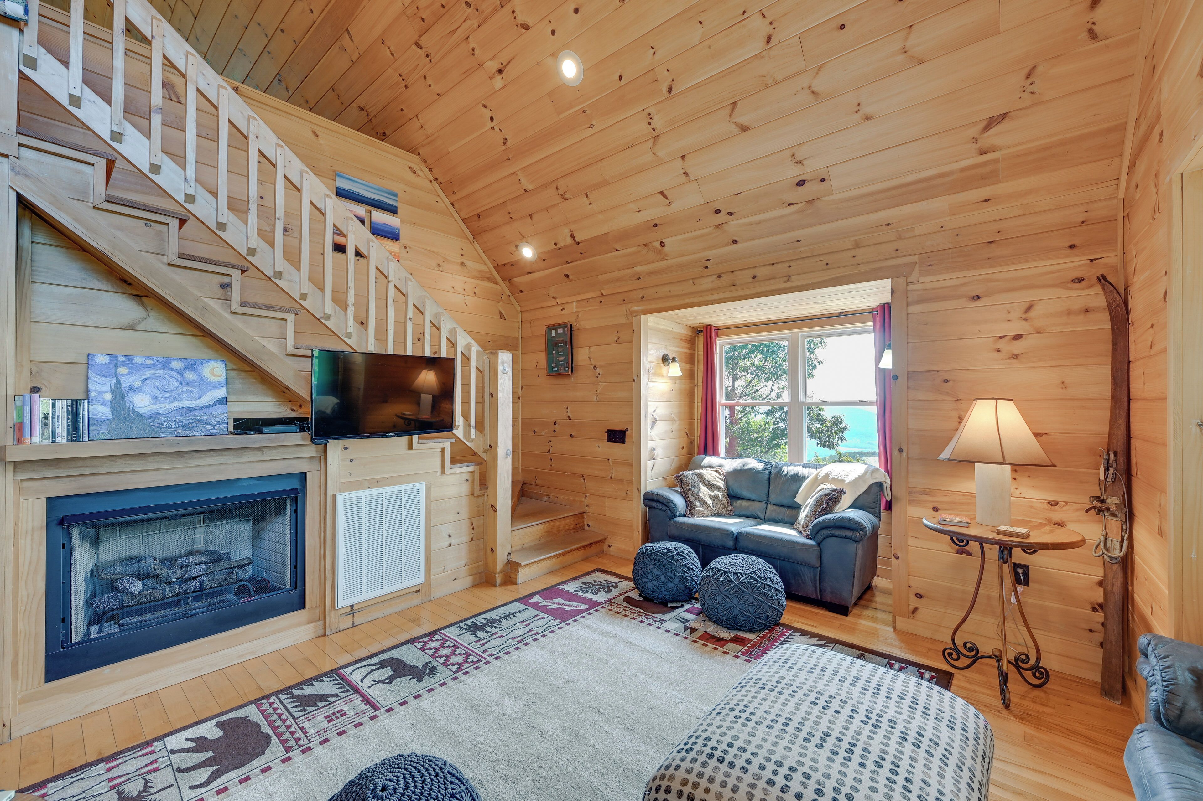 TV, fireplace, DVD player, books