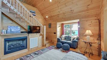 TV, fireplace, DVD player, books