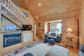 Télévision, cheminée, lecteur de DVD, livres