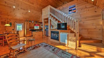 TV, fireplace, DVD player, books