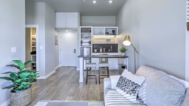 A compact living space with a kitchenette, a sofa, and a potted plant. - Bright San Marcos Apartment w/ Ideal Location (San Marcos)