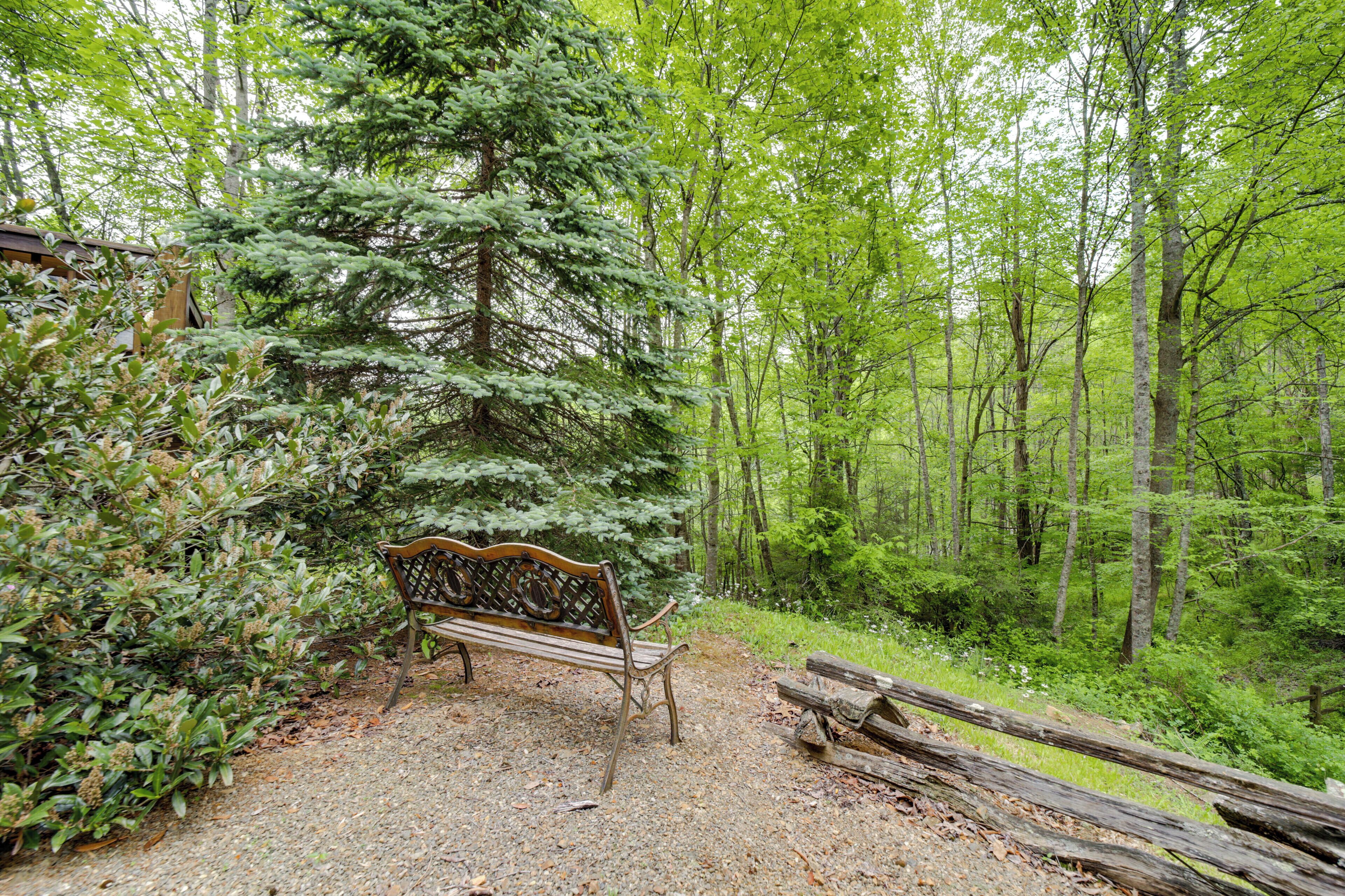 A bench in a forested area with dense trees and a wooden structure in the background.