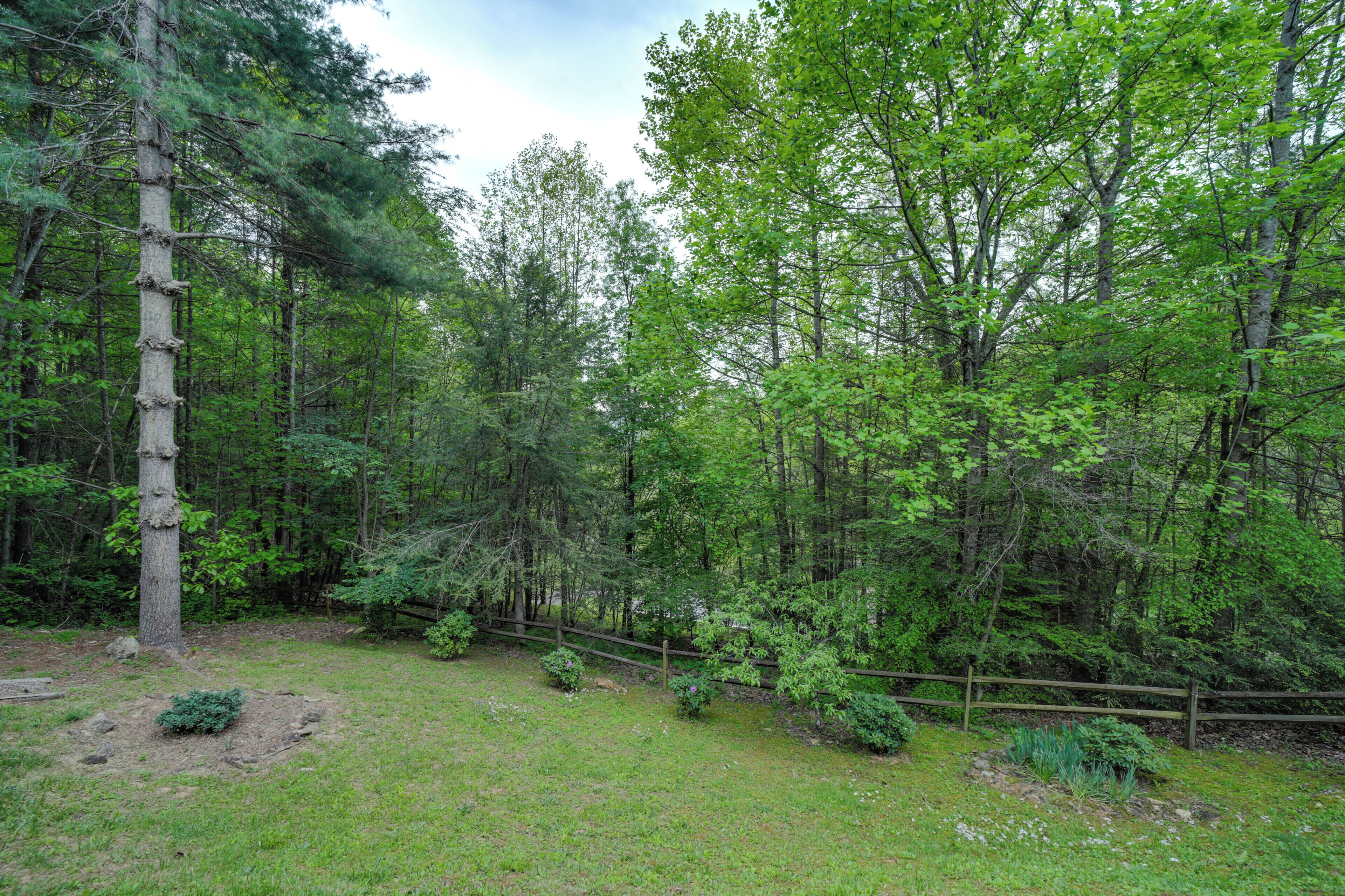 A forested area with a grassy clearing, a wooden fence, and a variety of trees.