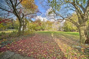 A park with trees, a grassy area, and a path covered with fallen leaves.