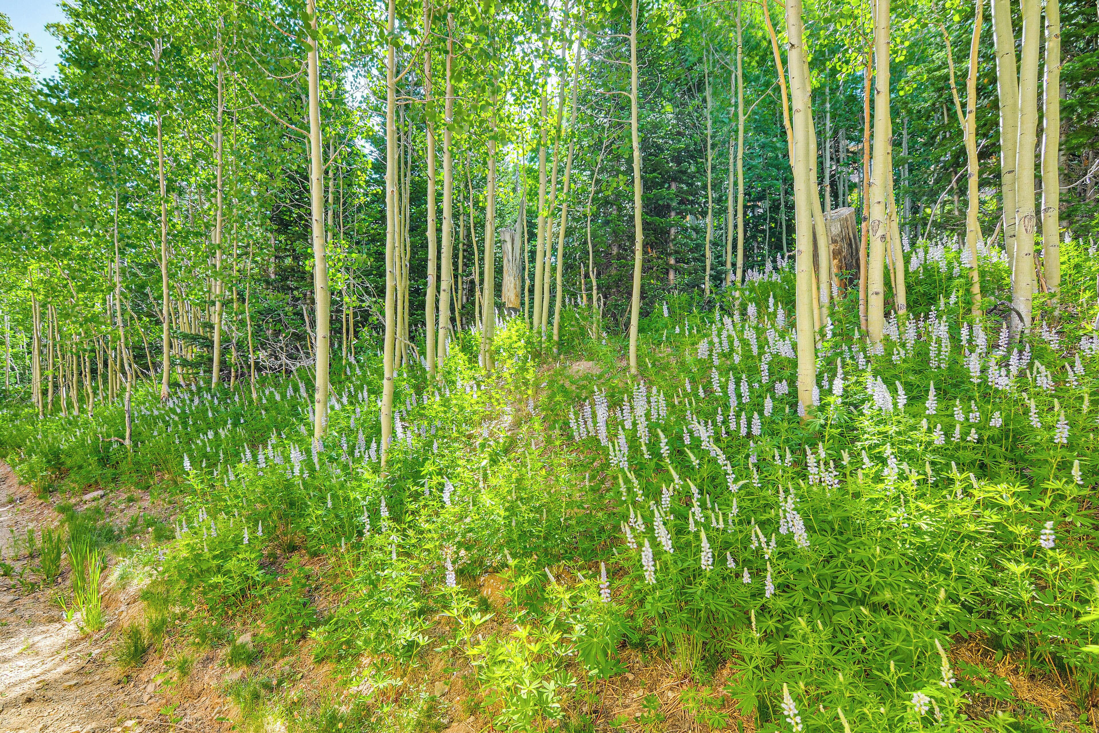 Leilighet (4 Bedrooms) | Innvendig