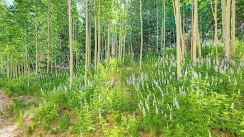 Leilighet (4 Bedrooms) | Innvendig