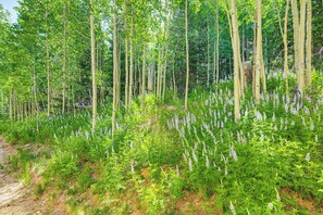 Apartment (4 Bedrooms) | Interior - Spacious Brian Head Mtn Getaway w/ Hot Tub! (Brian Head)