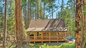 Een chalet met een veranda, omringd door hoge bomen.