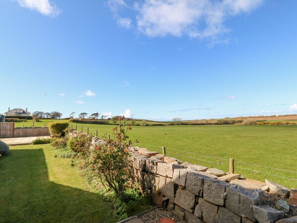 Property grounds - Llwyn Celyn (Pwllheli)