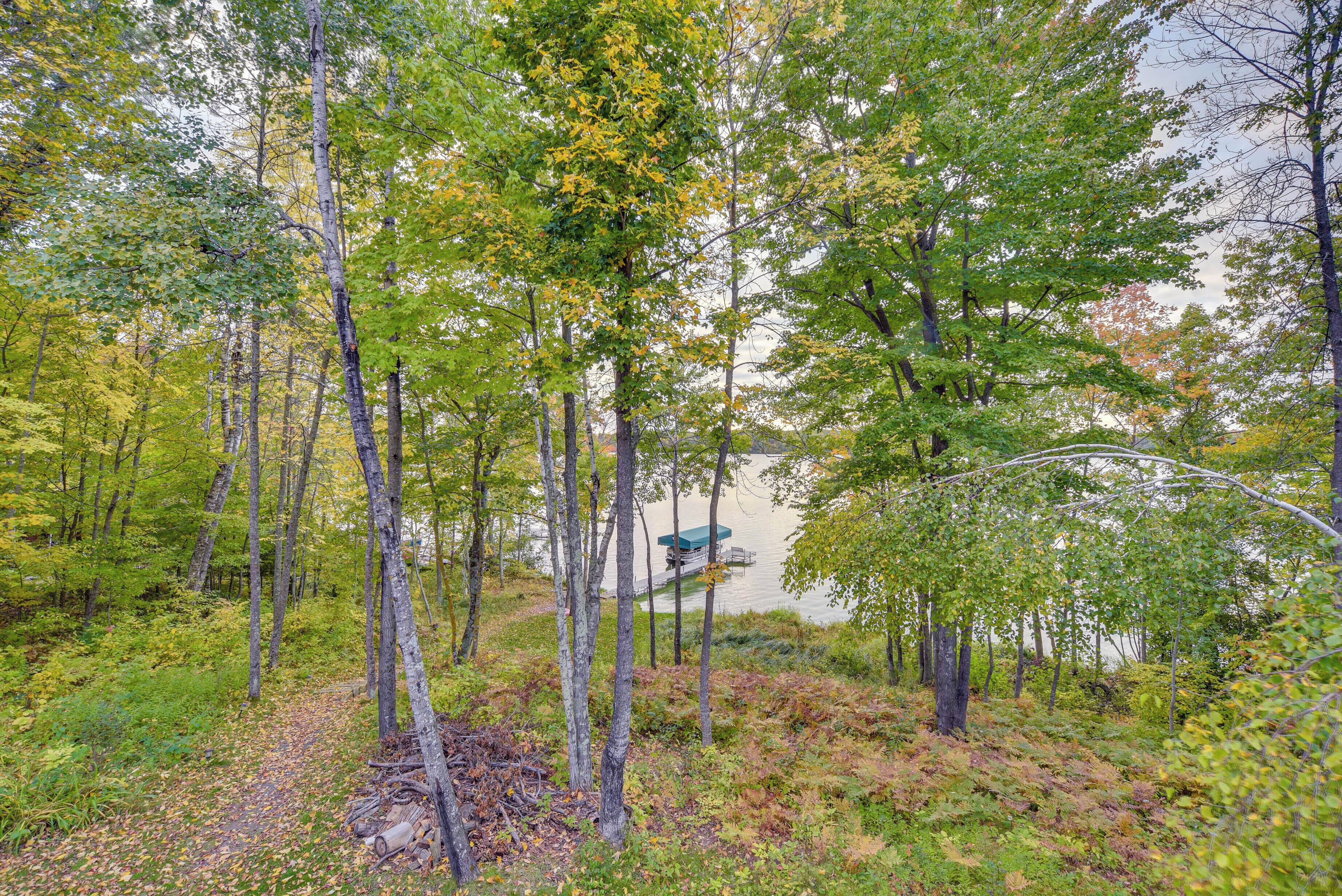 A forested area with a dock extending into a body of water.