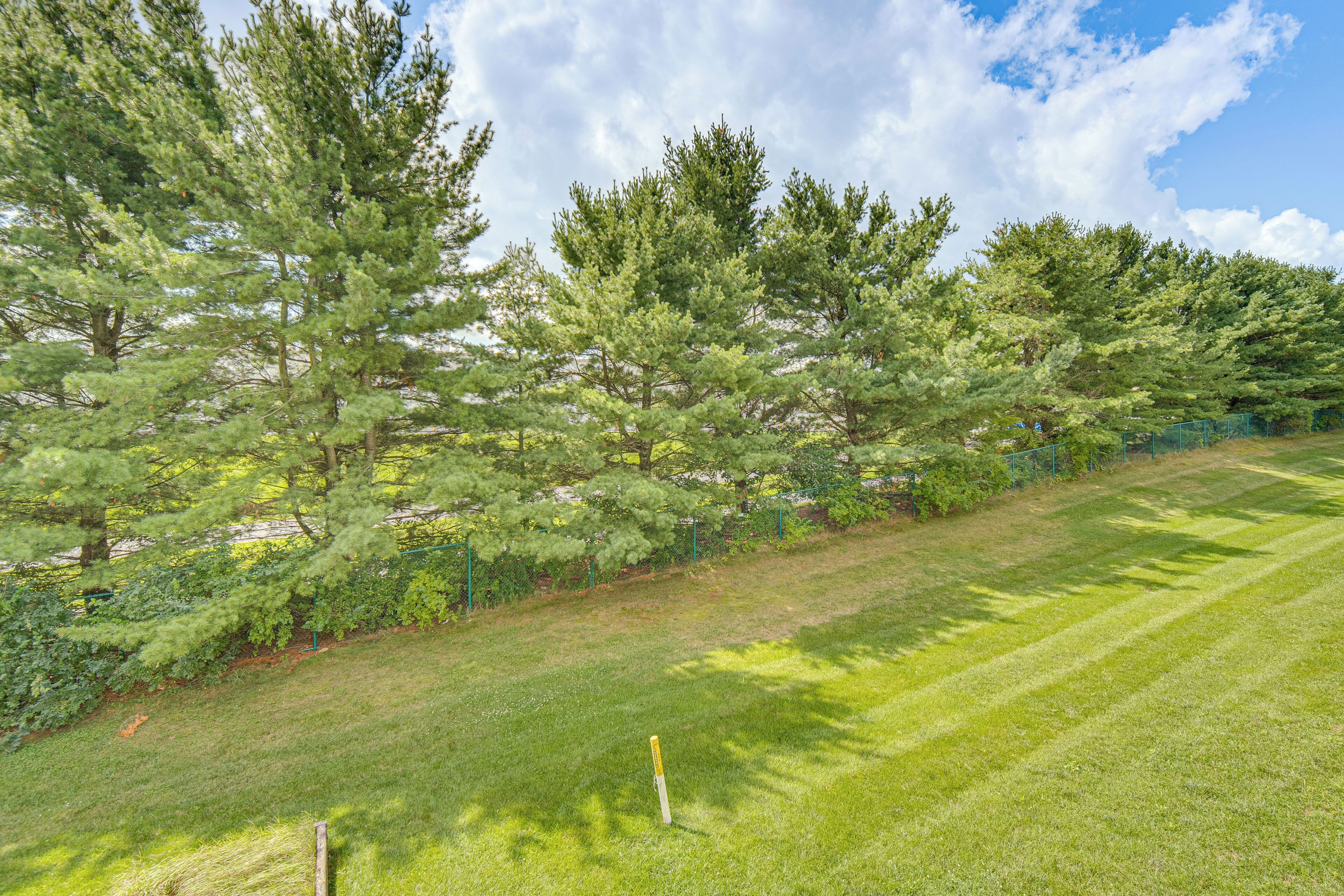 A grassy area with trees and a fence.