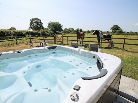 ์ฝํฐ์ง | ๋ด๋ถ