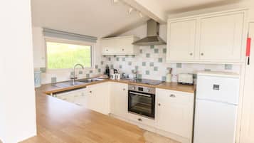 Fridge, dishwasher, toaster, cookware/dishes/utensils