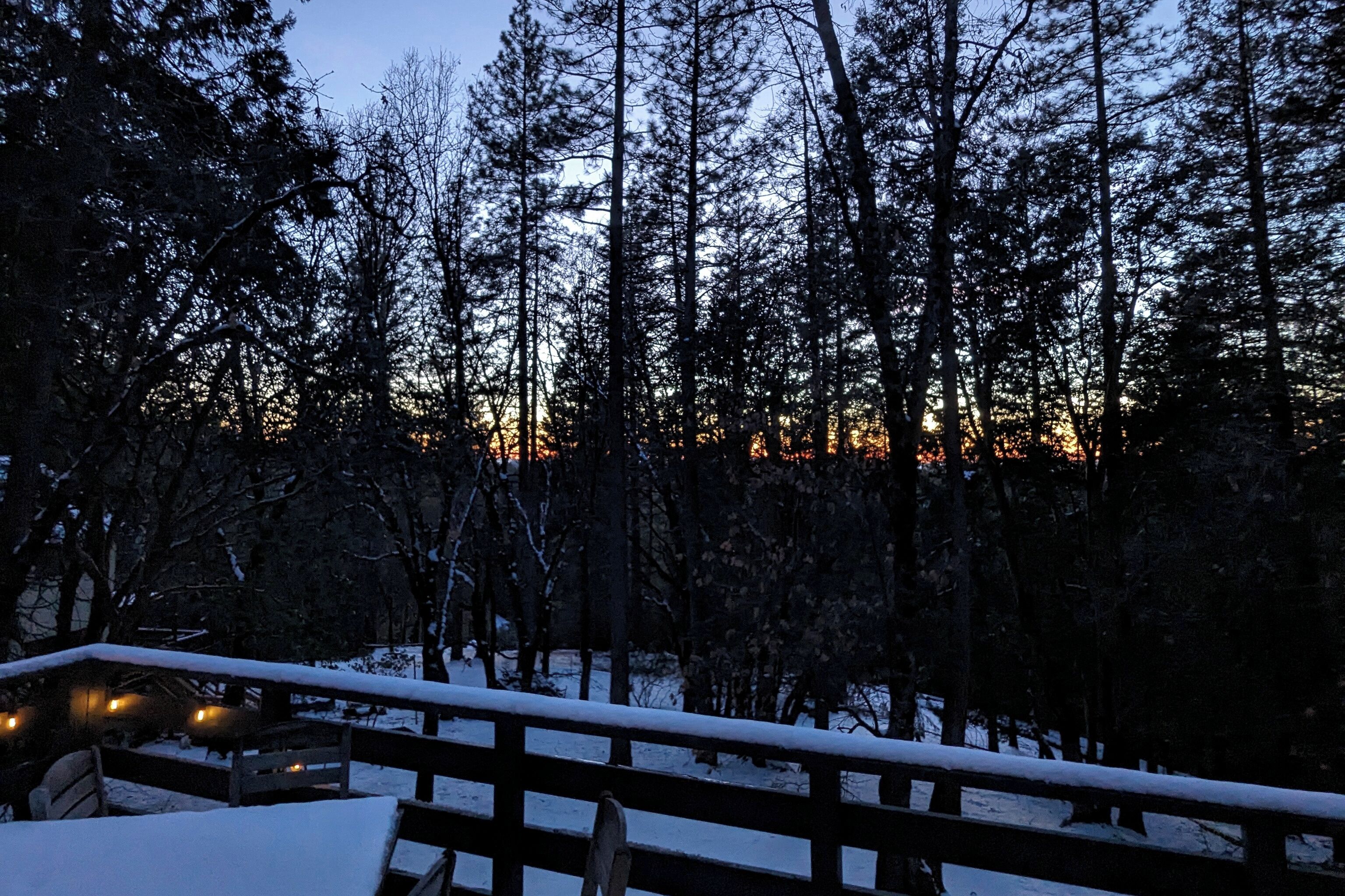 A snowy forest scene with a wooden deck and a bench.