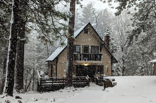 Balcony & Forest Views: Cabin in Pioneer!
