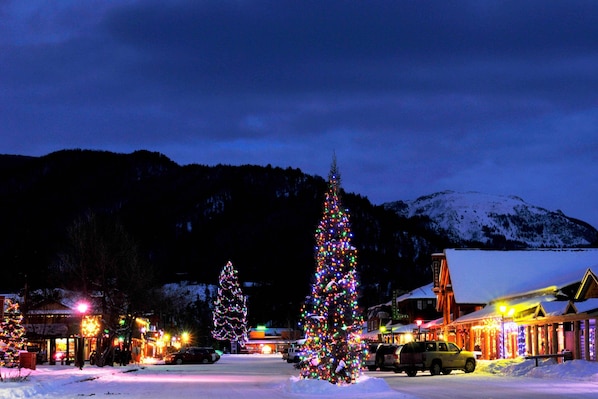 House (3 Bedrooms) | Interior - Fireplace & Deck: Modern Cabin in Grand Lake! (Grand Lake)