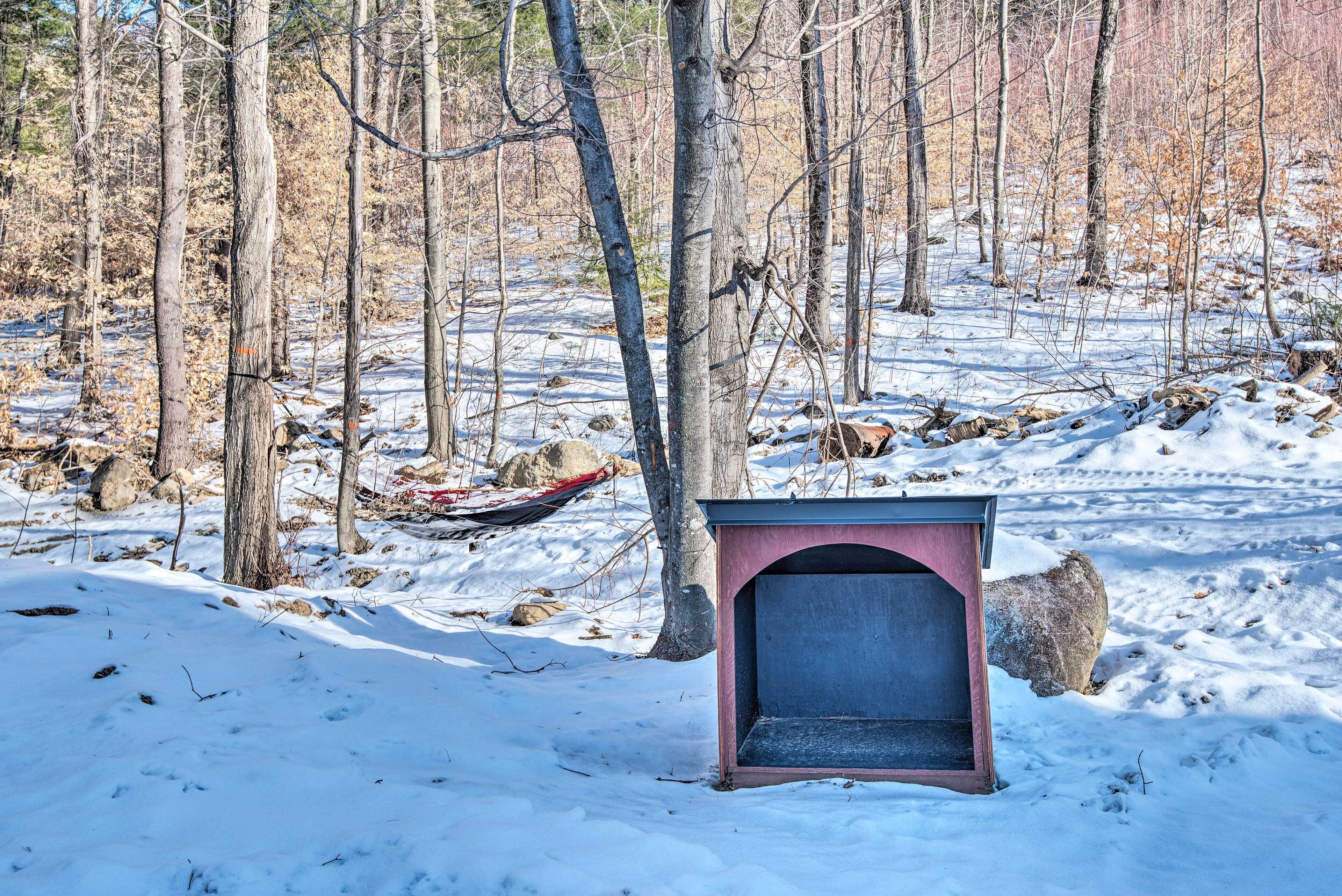 Un espace extérieur enneigé, doté d’une structure en bois, peut-être un abri ou un coffre de rangement, entouré d’arbres et de rochers.