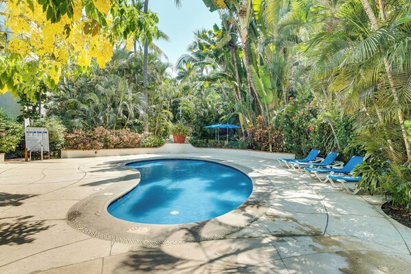 Una piscina rodeada de palmeras y sillas de descanso azules.