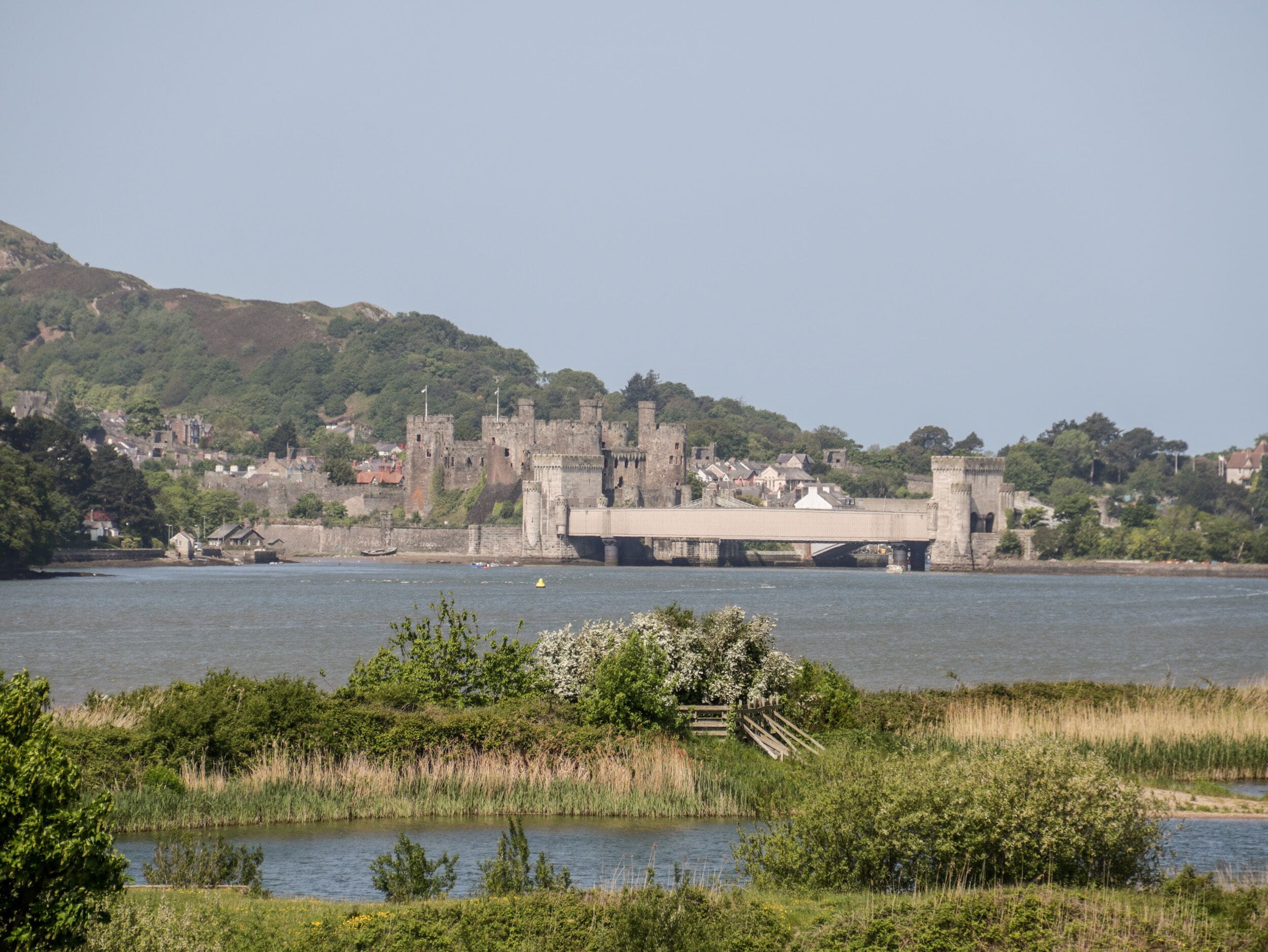 A historic castle with a bridge over a river, surrounded by greenery and residential buildings.