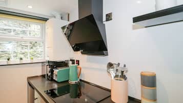 ๋์ฅ๊ณ , ์๊ธฐ ์ธ์ฒ๊ธฐ, ์ ๊ธฐ ์ฃผ์ ์, ํ ์คํฐ