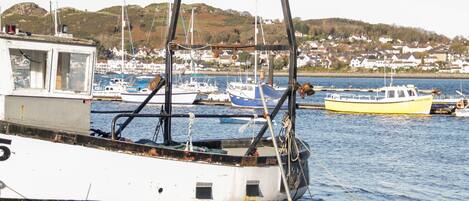 A harbor with several boats docked, a rocky shore, and a hillside with houses in the background.