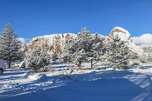 A snowy landscape with snow-covered trees and a clear blue sky.