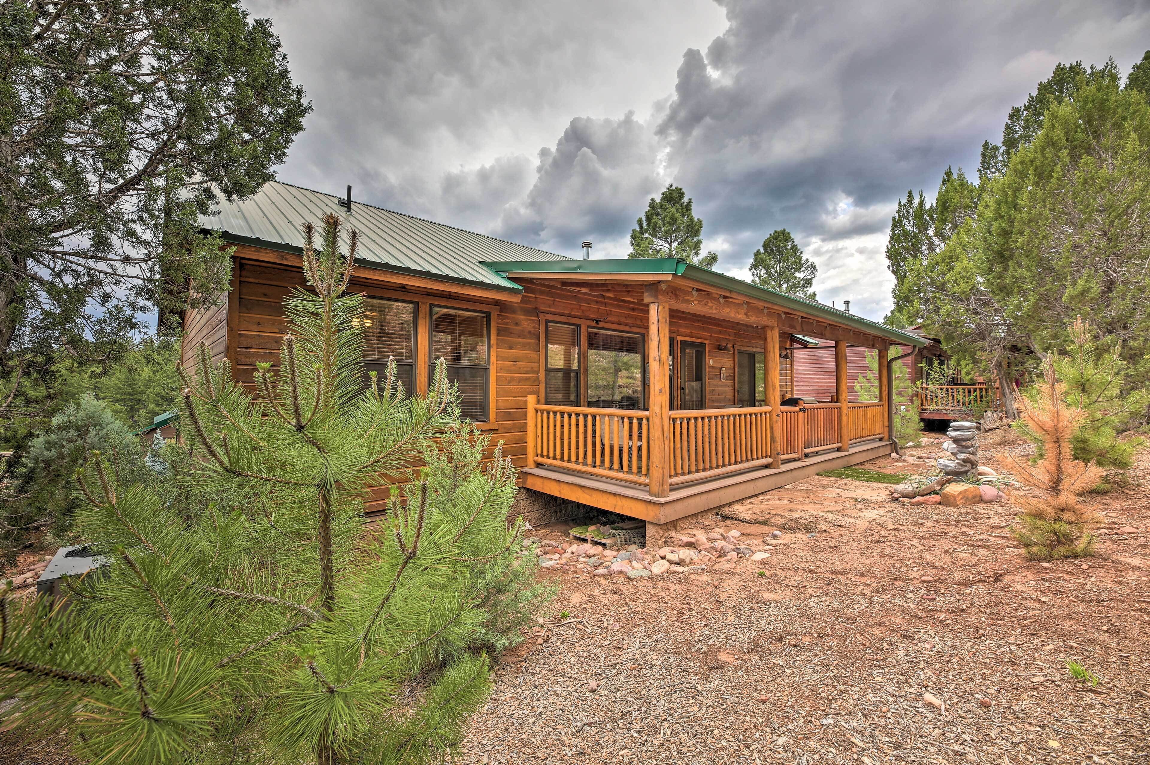 A wooden cabin with a porch, surrounded by pine trees and a gravel driveway.