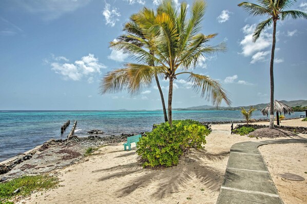 Apartment (2 Bedrooms) | Interior - Beachfront St Croix Condo w/ Pool + Lanai! (Christiansted)