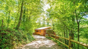 A forest path leading to a small cabin with a wooden fence. - Hot Tub Private Mtn-view Deck Family Cabin (Almond)