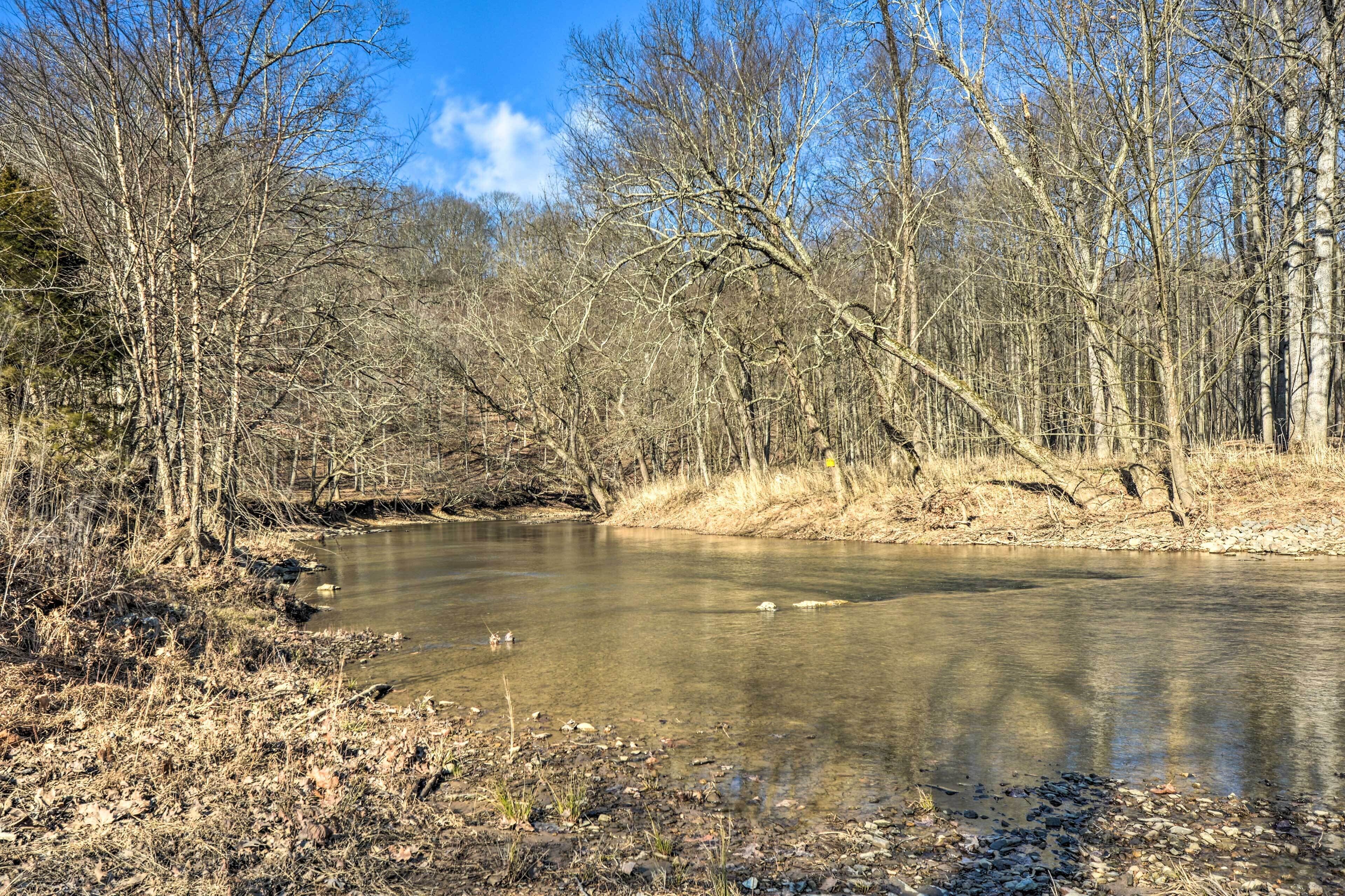 A calm river with trees and a clear sky.