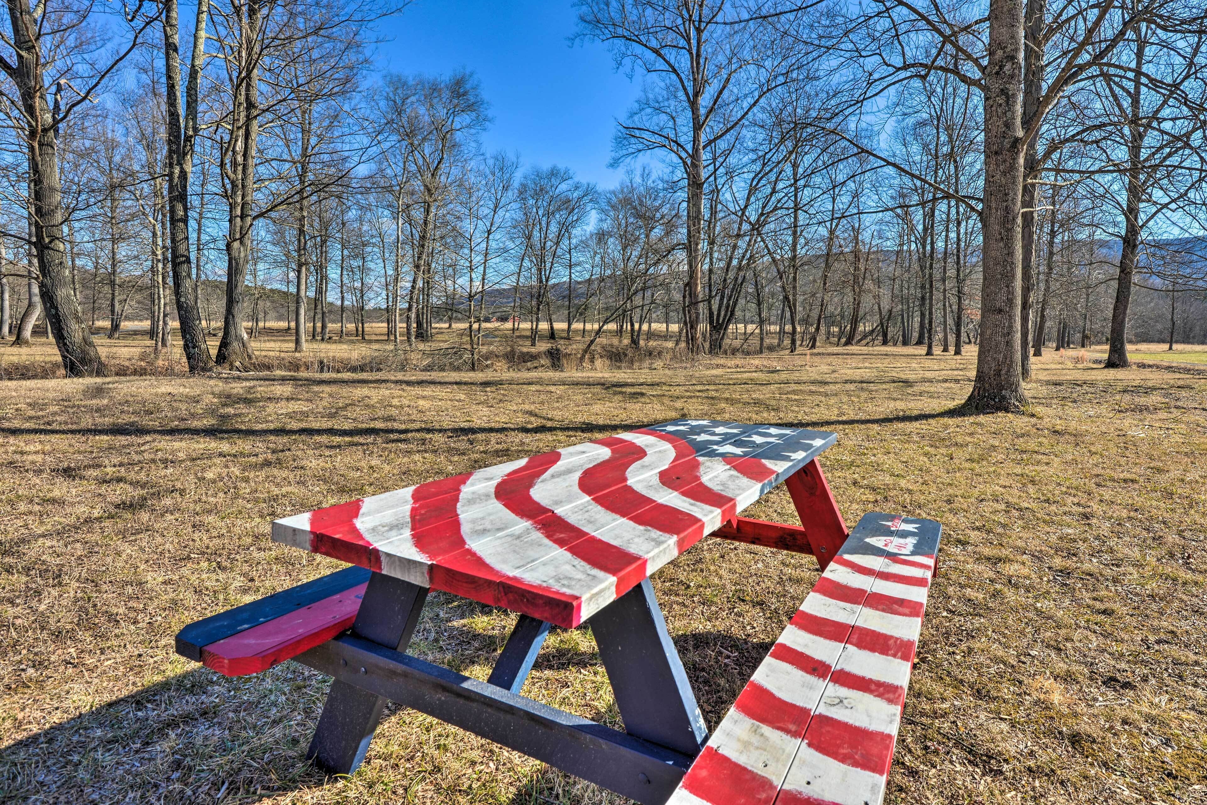 A picnic table painted with the American flag in a park with bare trees and a clear sky.