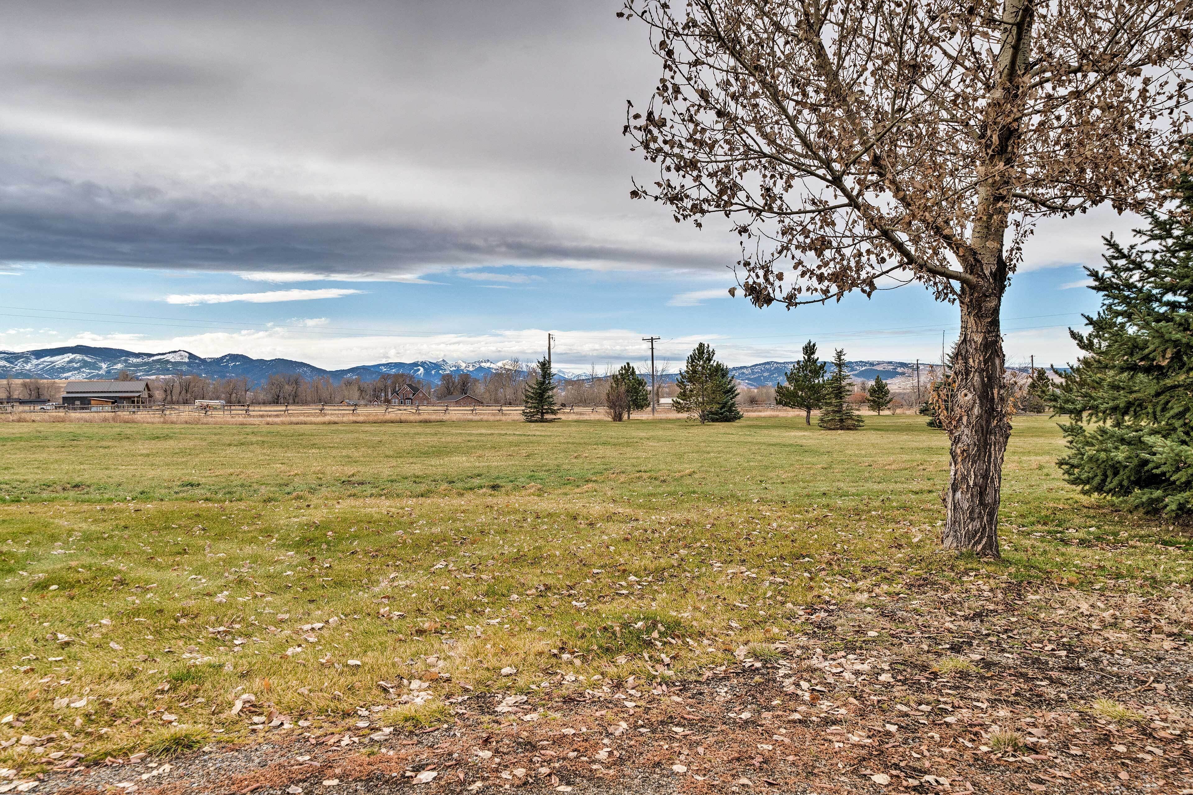 A grassy field with a tree, mountains in the background, and a clear sky.