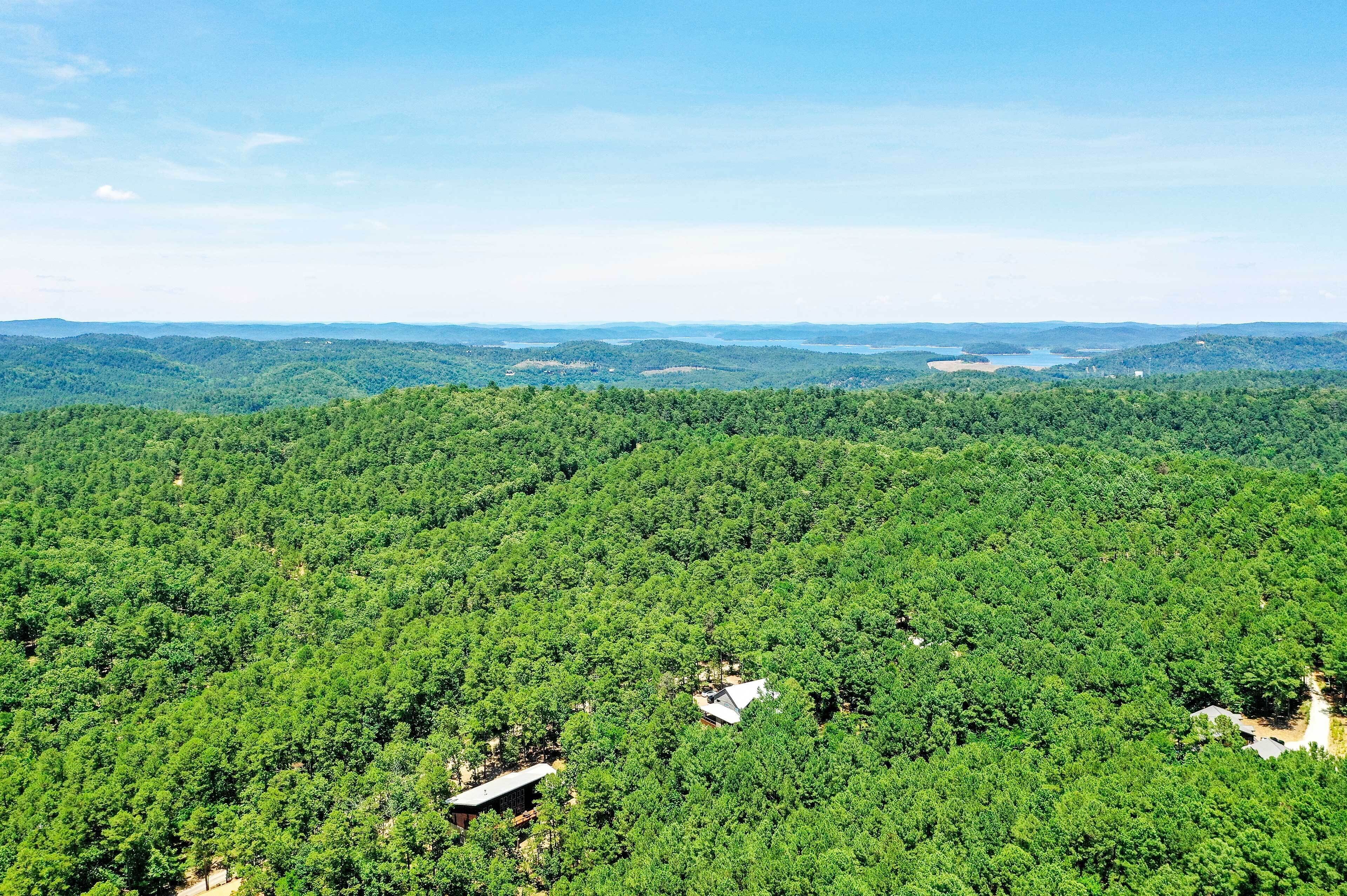 A dense forest with a few buildings, likely a remote or rural location.