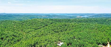 A dense forest with a few buildings, likely a remote or rural location.